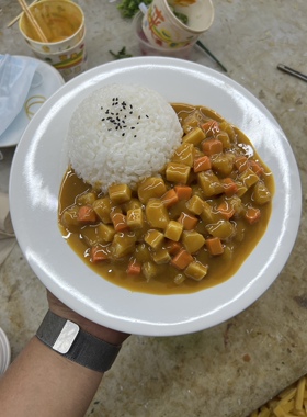 盖浇饭食物模型仿真菜菜品道具