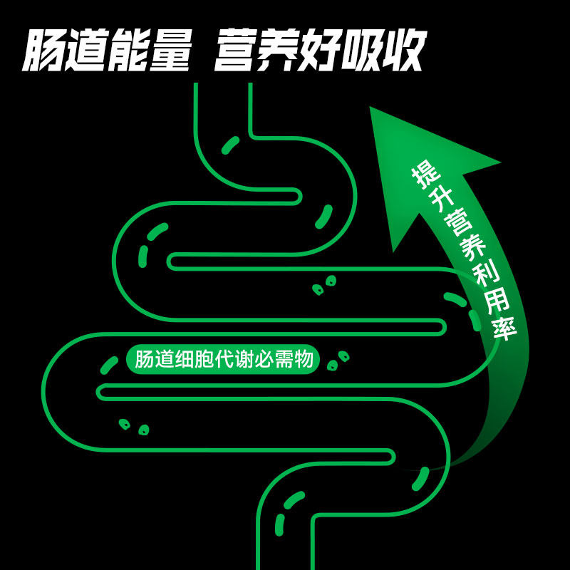 UP训练怪兽谷氨酰胺运动营养训练健身补剂谷氨酰胺粉一水肌酸粉,淘宝优惠券,粉丝福利购,淘宝优惠卷