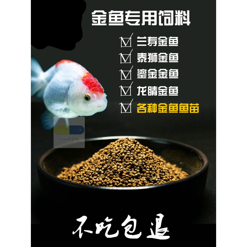 异型观赏鱼 新人首单立减十元 21年7月 淘宝海外