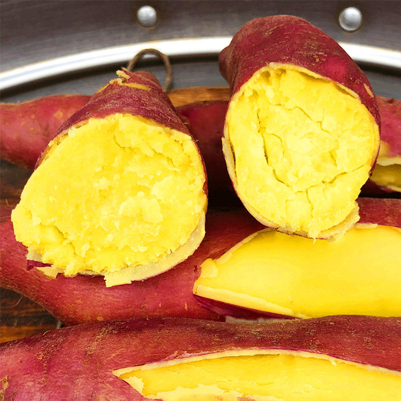 陕西虢王小番薯板栗小新鲜10红薯 西府关中缘番薯