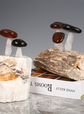 天然蘑菇软装书房博古架木化石