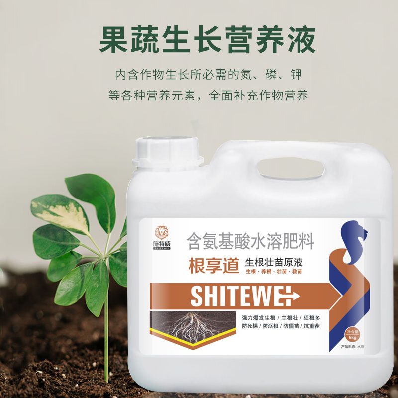 生根壮苗剂促根壮苗强力生根液果蔬花卉通用移栽壮苗生根剂冲施肥 - 图2