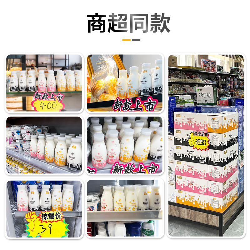 原味菠萝味酸奶饮品整箱12瓶批发早餐学生常温发酵牛低脂整箱奶