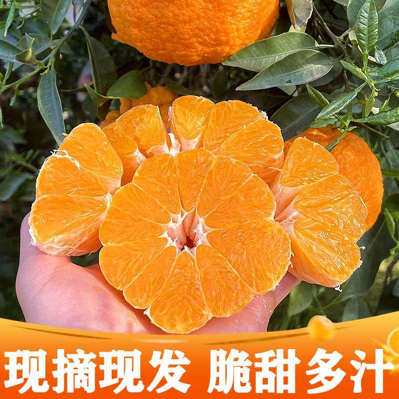 四川丑橘耙耙丑八怪柑桔子粑粑特优新鲜水果整箱10斤,淘宝优惠券,粉丝福利购,淘宝优惠卷
