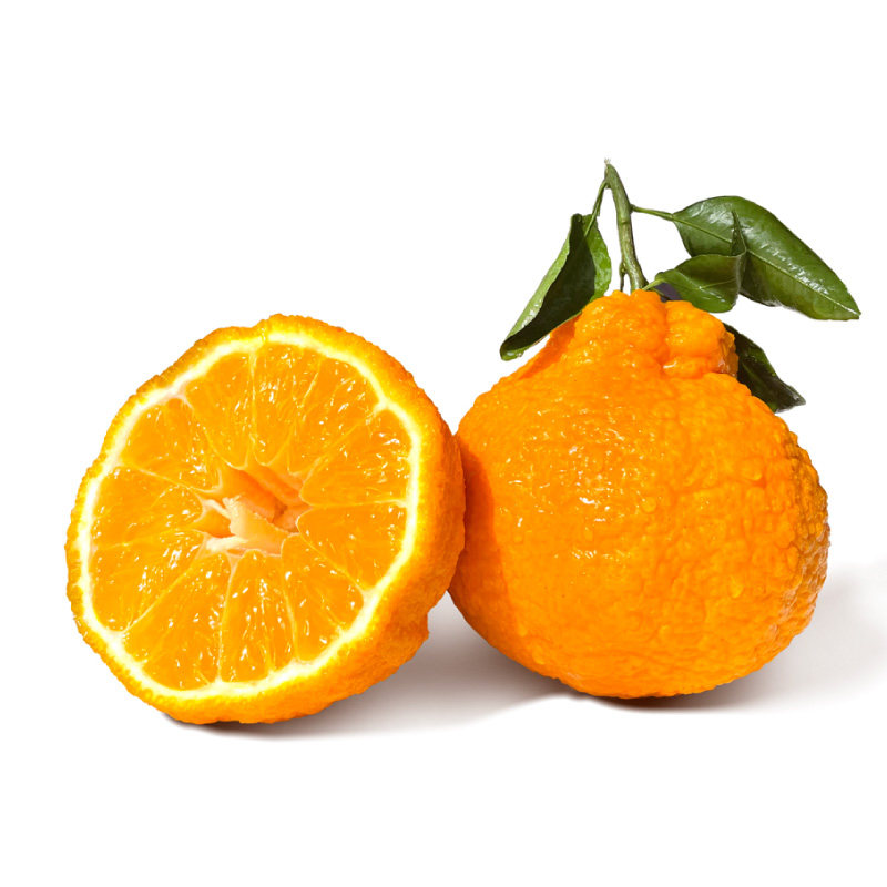 四川丑橘耙耙丑八怪柑桔子粑粑特优新鲜水果整箱10斤,淘宝优惠券,粉丝福利购,淘宝优惠卷