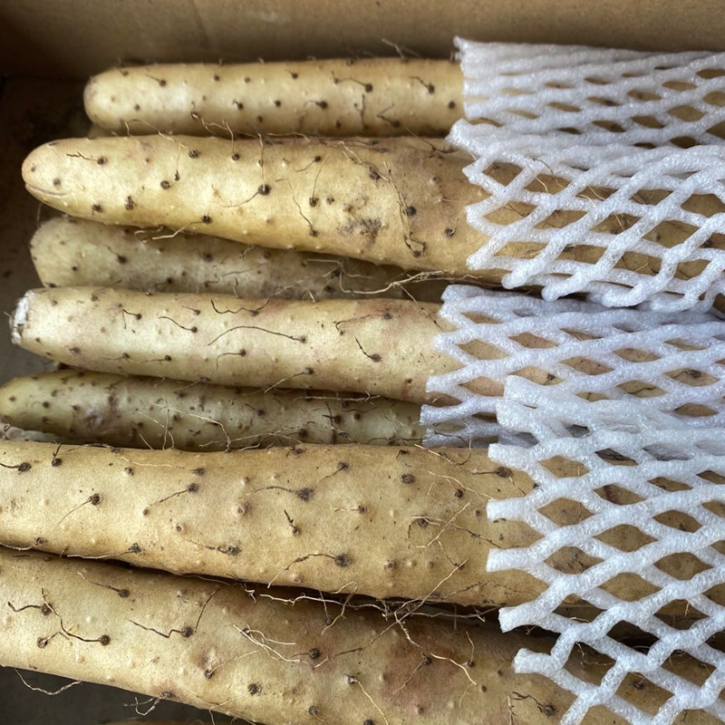 蹦跶女神金沙山药铁棍山药4斤装带箱冰糖口感白芋新鲜农家蔬菜,淘宝优惠券,粉丝福利购,淘宝优惠卷