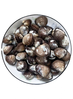 500g 北京闪送 毛蚶 新鲜毛蛤蜊海鲜 贝壳 鲜活水产