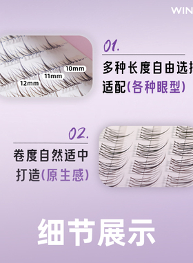 WINDCCI海马体化妆假睫毛