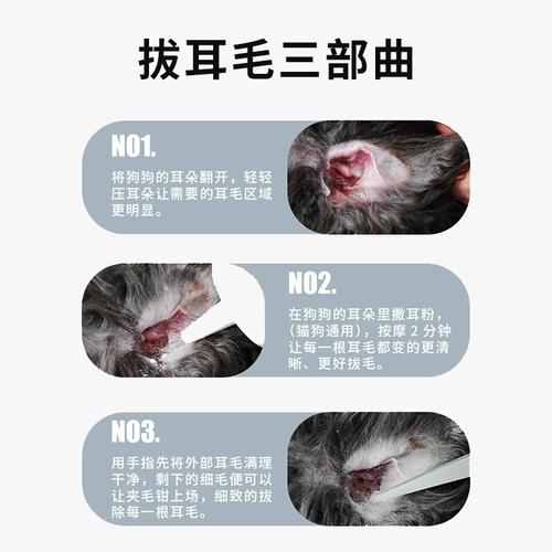 Ухой муку муку собака домашняя животная безболезненные ухой