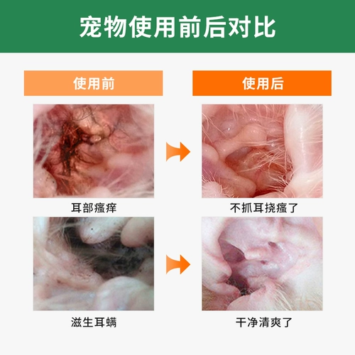 Ухой муку муку собака домашняя животная безболезненные ухой