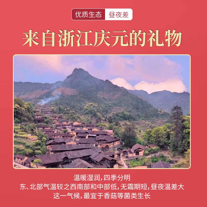 猴头菇灰树花香菇组合礼盒黑木耳 齐鲁壮硕香菇类