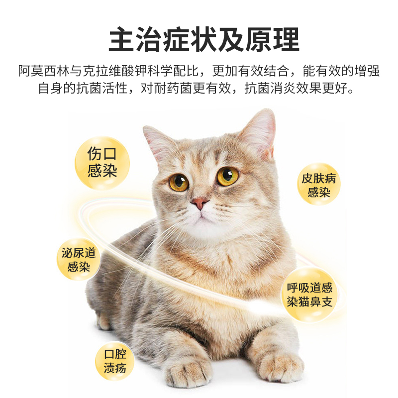 宠物感冒药阿莫西林粉狗狗消炎药猫咪治疗猫鼻支口炎肺部感染兽用 - 图2