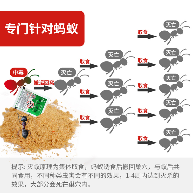 达豪灭蚂蚁药家用室内低毒白蚁药大黑红蚂蚁药饵剂室户外全窝使用-图3