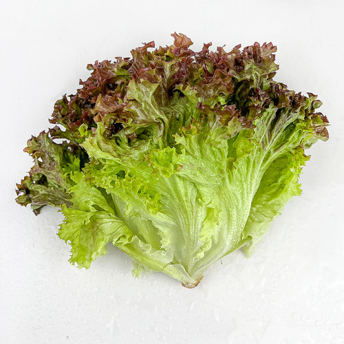 绿食者 红叶生菜500g 新鲜罗莎红紫叶生菜沙拉色拉蔬菜西餐食材 - 图2