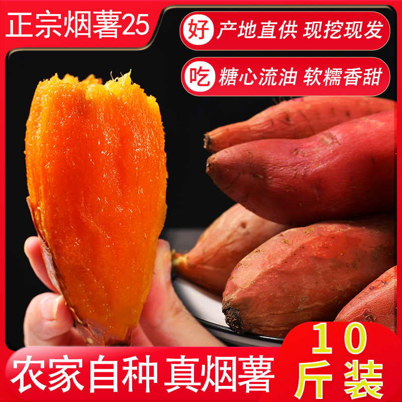 新鲜烟薯25号蜜薯糖心富晒沙地烤薯 哲扬番薯