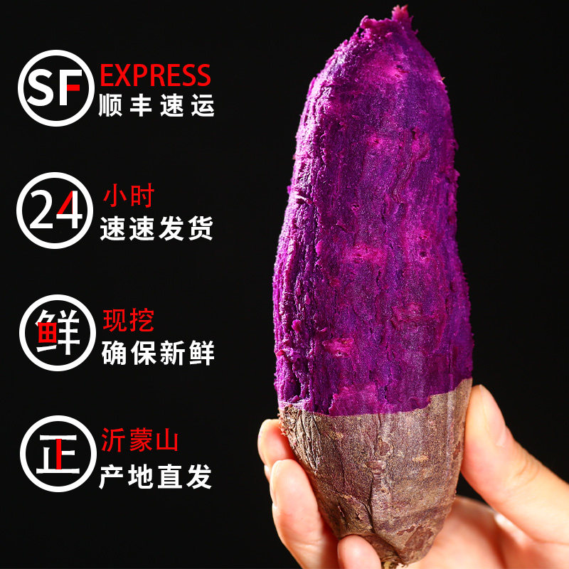 新鲜紫罗兰农家蜜薯5斤糖心山芋 哲扬番薯