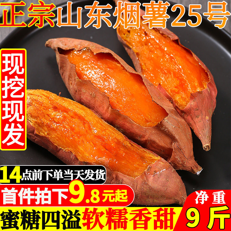 新鲜烟薯25号蜜薯糖心富晒沙地烤薯 哲扬番薯