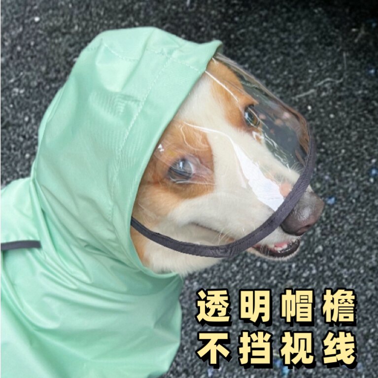 图4