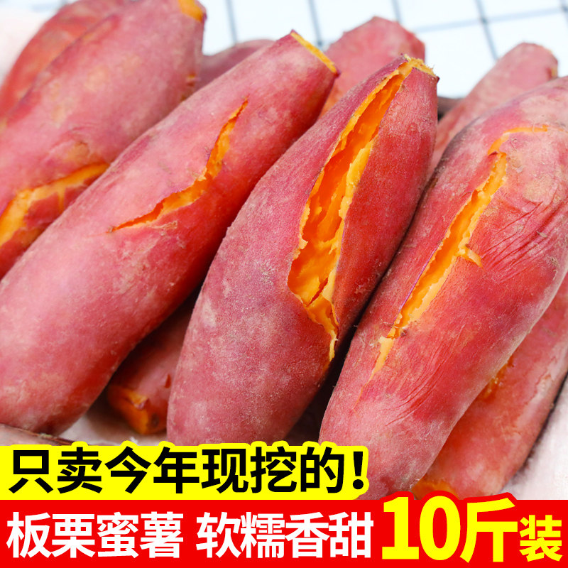 板栗蜜薯10斤农家自种新鲜红薯 阳山尹城番薯