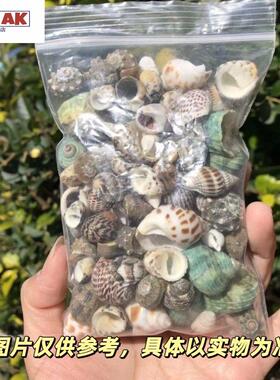 寄居蟹替换纯天然繁殖鱼缸造景水族箱装饰套装纯天然