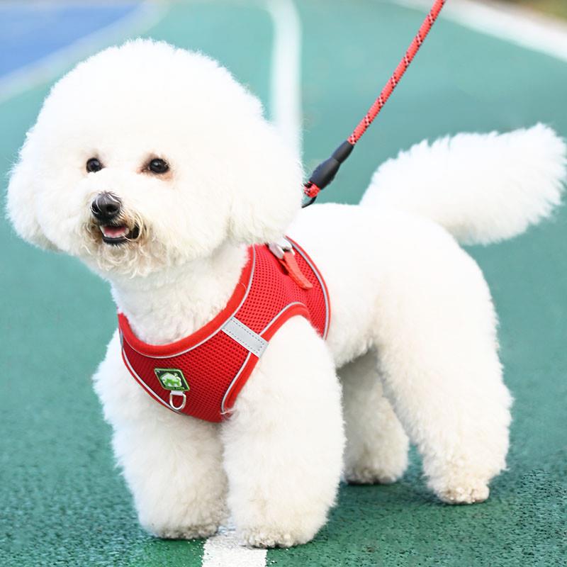 背心式狗狗牵引绳小型犬比熊泰迪博美小狗幼犬胸背带遛狗绳狗链子 - 图1