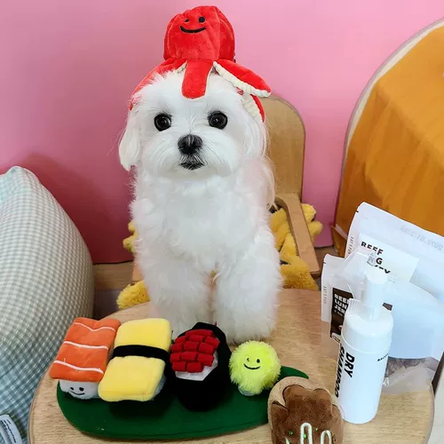 Игрушка, Южная Корея, издает звуки, осьминог, избавление от скуки, домашний питомец