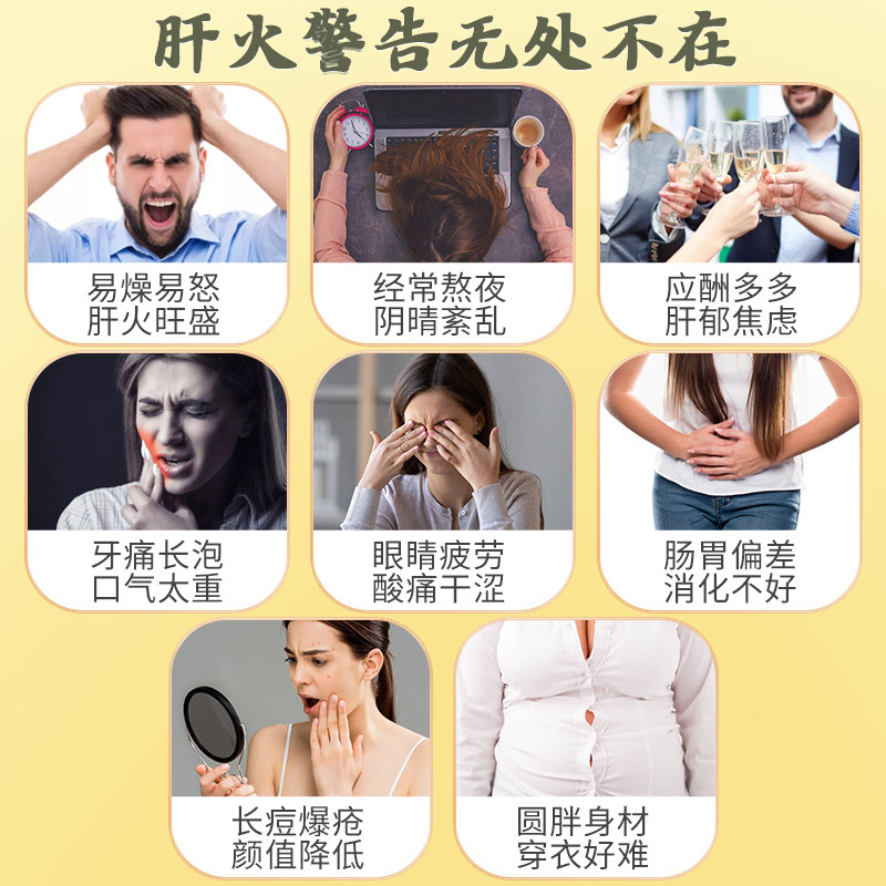 蒲公英苦丁茶官方同仁堂南京浦公英 太大夫养生茶