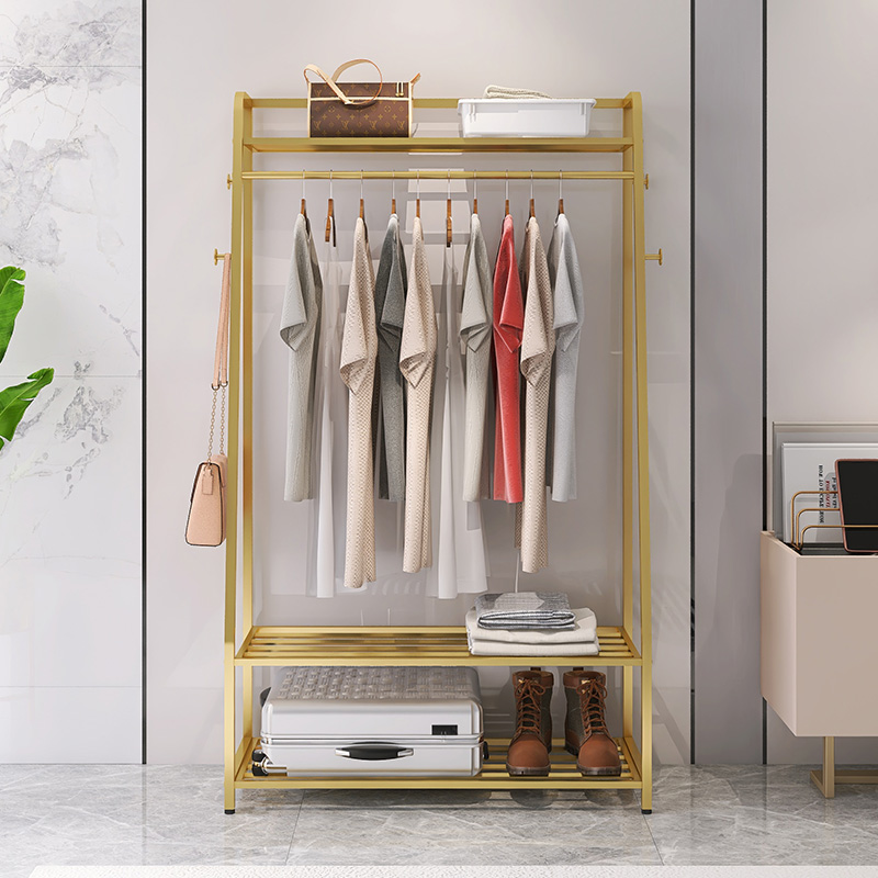 挂衣架落地卧室家用网红简易衣服架子现代客厅多功能轻奢衣帽架 - 图0
