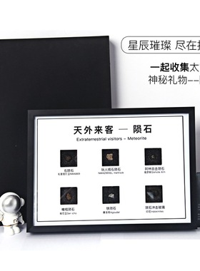 石陨石三叶虫原石装饰摆件礼物