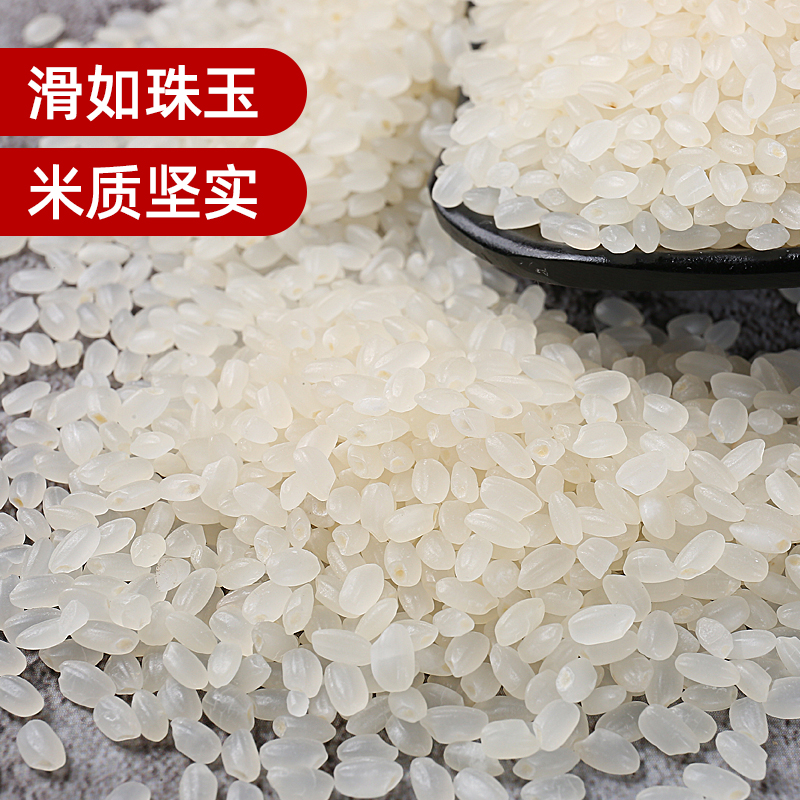【专用煮粥米】北田御品东北大米雪粒珍珠米5kg当季圆粒新米粳米 - 图0