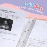 Проверка беременности -Опции во время беременных архивов, сообщающие о одиночной сумке с коллекцией беременная мать -дракон Baby B -uultrasound Руководство по архиву