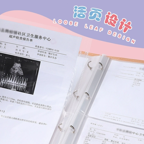 Проверка беременности -Опции во время беременных архивов, сообщающие о одиночной сумке с коллекцией беременная мать -дракон Baby B -uultrasound Руководство по архиву