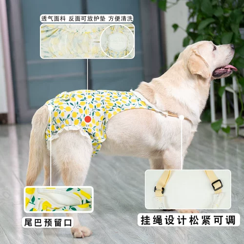 Собачья физиологические штаны суки