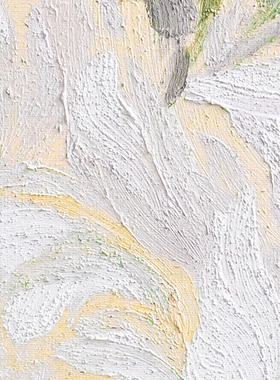 忒派TeiPai纯手绘原创牡丹装饰画《月华》奶油风油画植物花卉挂画