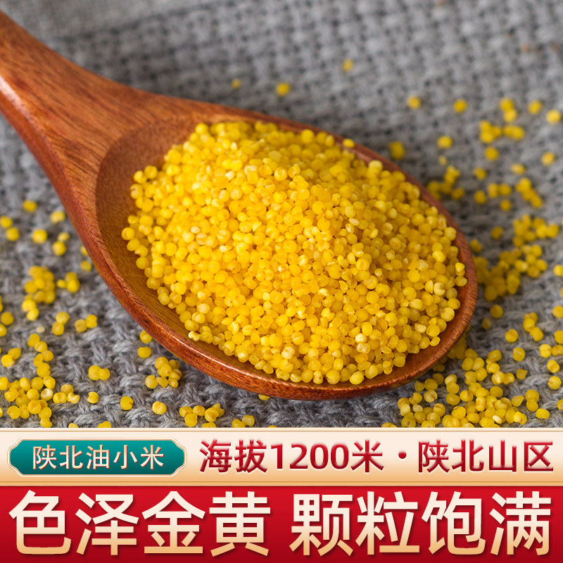 陕西米脂黄小米香糯粘稠陕北米新米 岁缘小米