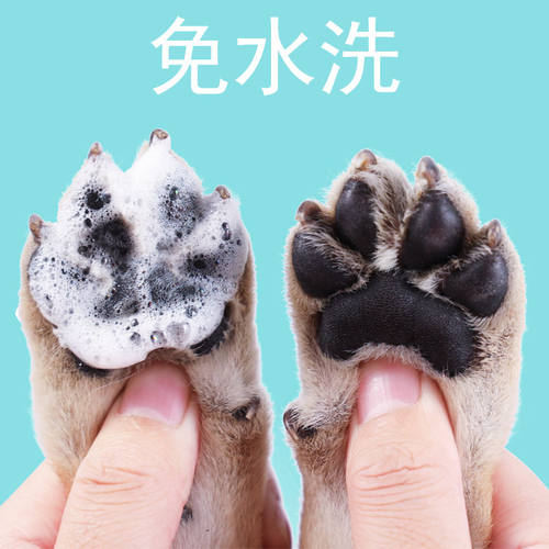 遛狗狗洗脚擦清洁器宠物洁足泡沫免洗猫咪爪子底脚臭足部用品 - 图2