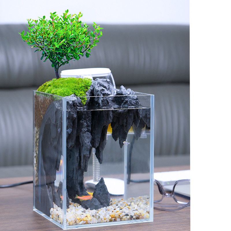 鱼缸家用斗鱼缸客厅小型超白玻璃生态造景全套缸微景观植物水陆缸-图0