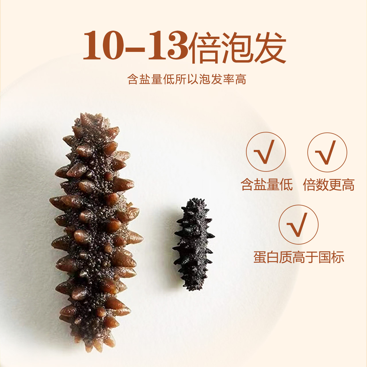 倾海之宴  2980型淡干海参225g（27-36头）