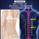 Поясничный поясничный поясничный диск протестовал в поясничные поясничные мышцы, светодиодные и поясничные спондилоз, боль в пояснице, исправление мужчин и женщин в талии