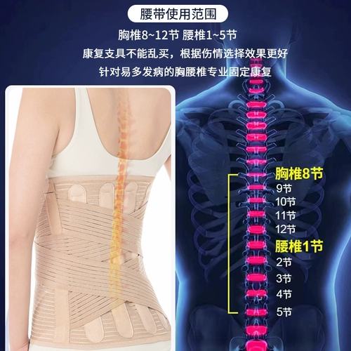 Поясничный поясничный поясничный диск протестовал в поясничные поясничные мышцы, светодиодные и поясничные спондилоз, боль в пояснице, исправление мужчин и женщин в талии