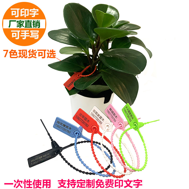 植物苗木园艺苗木标签 新人首单立减十元 22年2月 淘宝海外