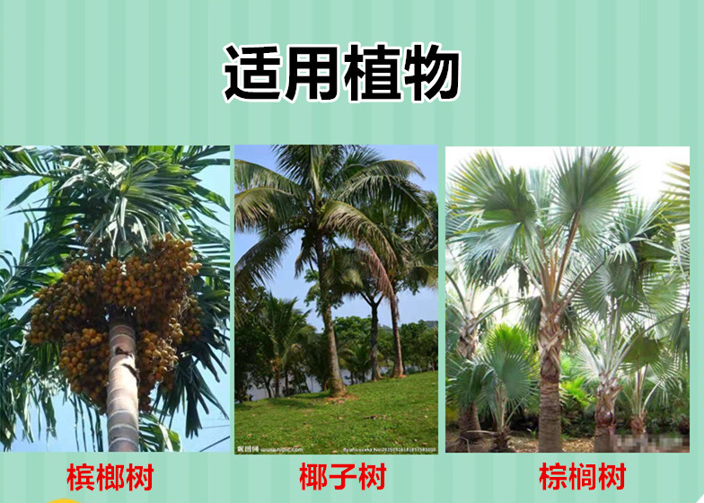 椰甲清专杀槟榔椰子树棕榈树椰心叶甲虫红棕象甲挂包绿化景观杀虫_虎窝淘