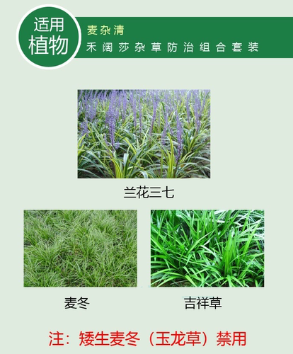 靓禾麦杂清麦冬吉祥草兰花三七草坪专业除草剂除尖叶阔叶莎草杂草 - 图1