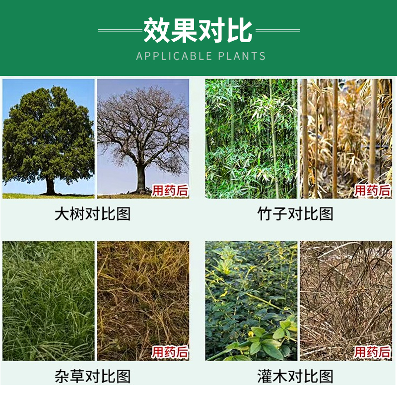 环嗪哃酮除草剂杀杂灌颗粒型烂根死根杂竹剂灌木开荒灭竹药铁路道 - 图1