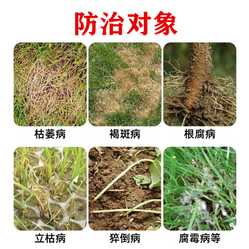 国光健致精甲恶霉灵花卉苗木草坪立枯病根腐病猝倒病腐霉病杀菌剂 - 图1