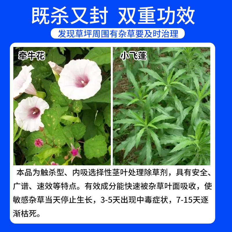 三叶草草坪专用杂草防治套装白三叶除草药除尖叶阔叶香附子草农药-图1