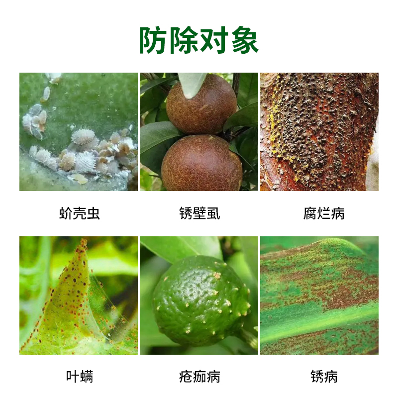 国光石硫合剂圃彩白粉病杀菌剂红蜘蛛螨虫杀虫剂苗圃柑橘苹果清园 - 图0