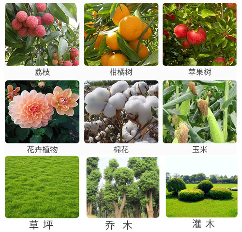 辛硫磷颗粒土蚕蛴螬鼠妇马陆蝼蛄千足虫地老虎地下害虫土壤杀虫剂 - 图2