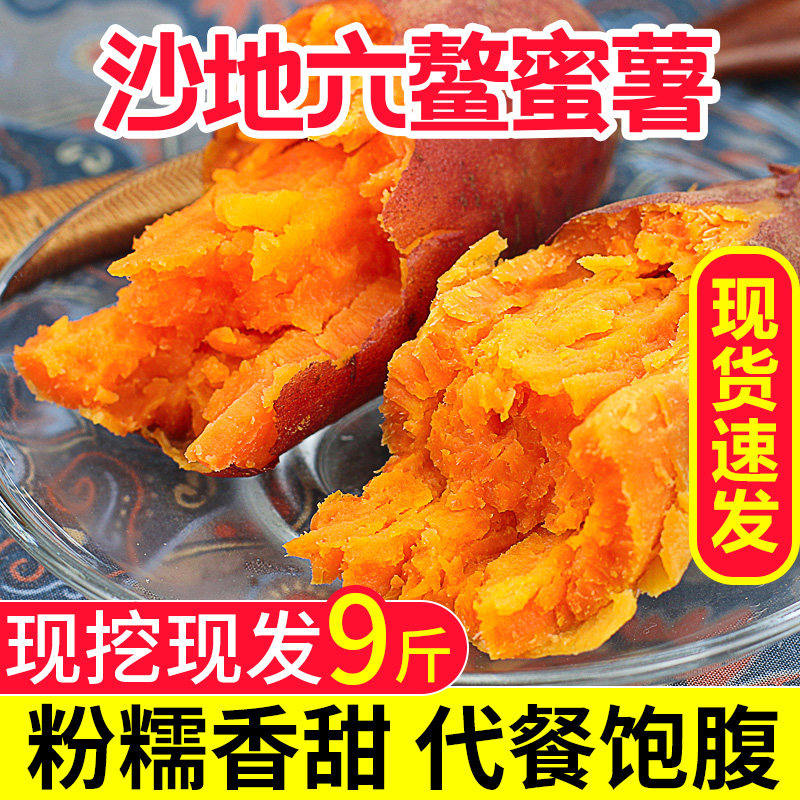 六鳌红蜜薯现挖新鲜10斤5板栗红薯 沁枝番薯