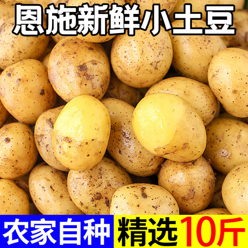 恩施小土豆现挖湖北新鲜黄心土豆10斤当季蔬菜整箱迷你马铃薯洋芋